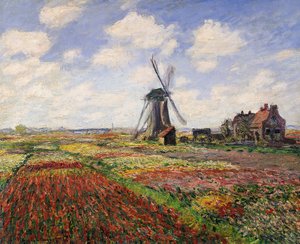 حقول تيوليب مع طاحونة Rijnsburg ، 1886